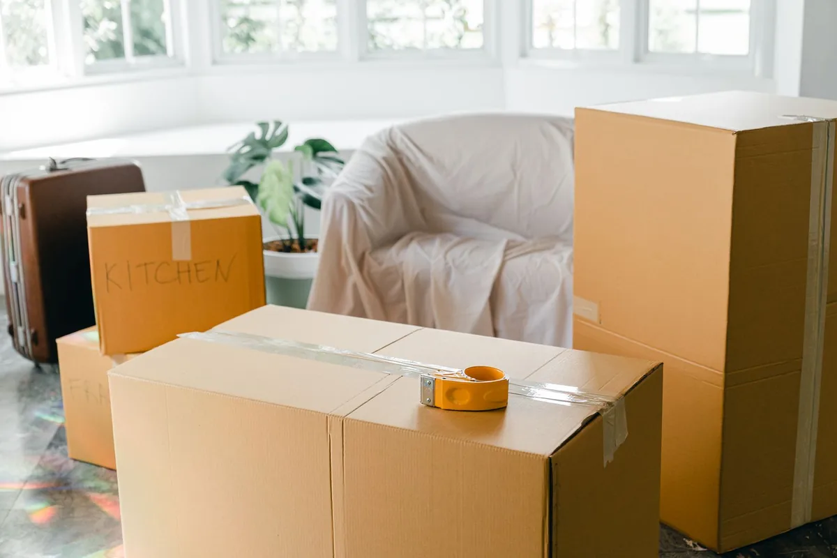 Hoarding Cleanup in Forestville, OH